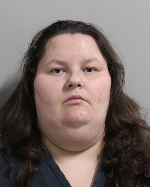 Booking photo of Julie Bliss