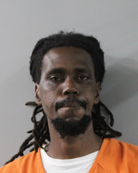 Booking photo of Darlyn Mccloud