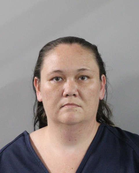 Booking photo of Danica Morris