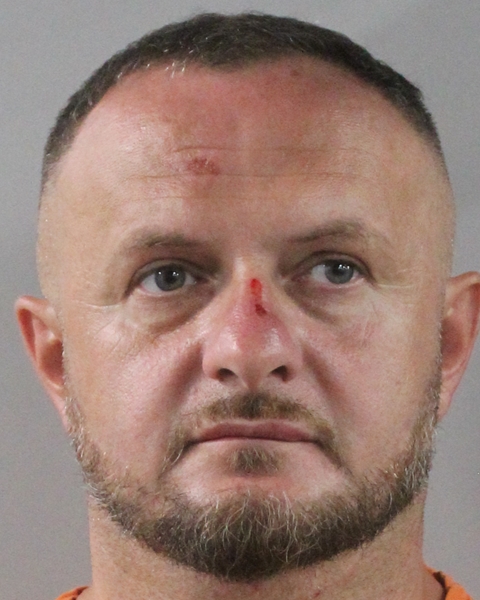 Booking photo of Ivane Japarashvili