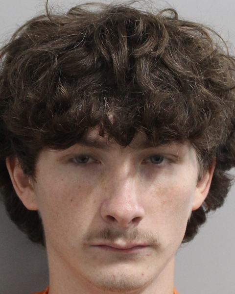 Taven Chan booking photo