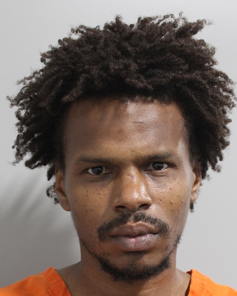 Booking photo of Harry Rocha