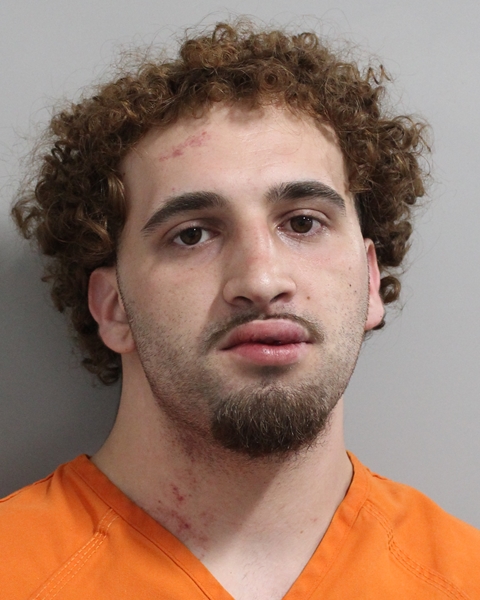 Booking photo of Camille Valerio