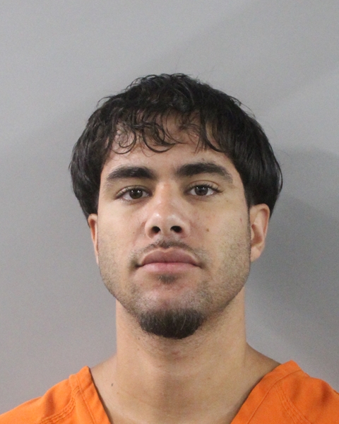 Pavel Rodriguez Pena booking photo