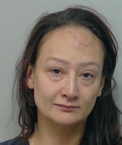 Jessica Vlasac booking photo