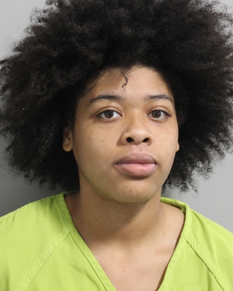 Booking photo of Nichele Pierce