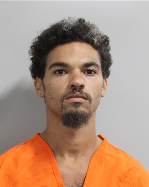 Booking photo of Kaiden Brown