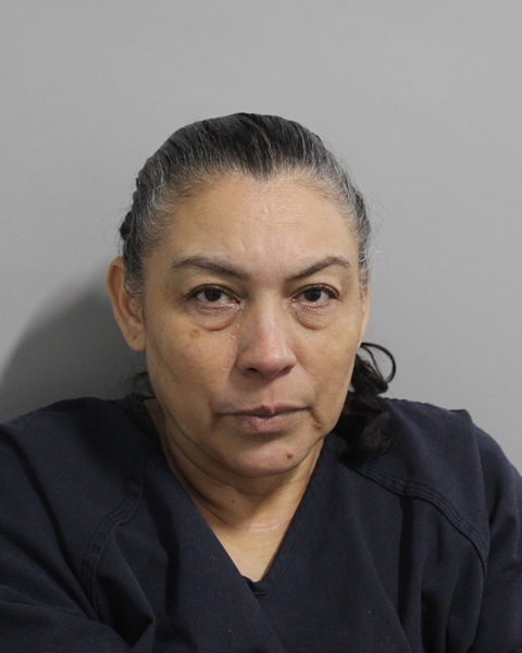 Booking photo of Sandra Londono