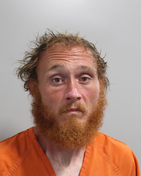 Booking photo of Donovan Brady