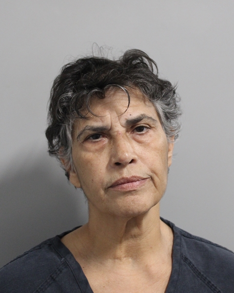 Booking photo of Ann Otero