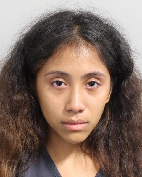 Booking photo of Chastity Acevedo-palao