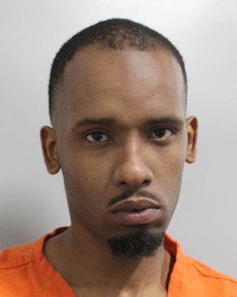 Booking photo of Joshua Mahogany