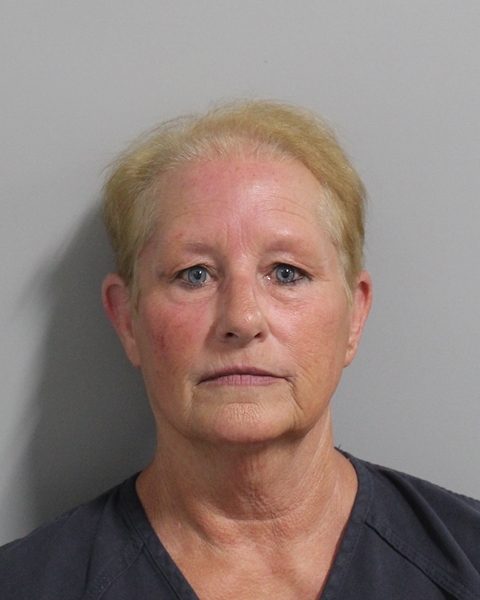 Booking photo of Sonya Ryan