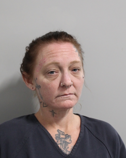Booking photo of Megan Holland