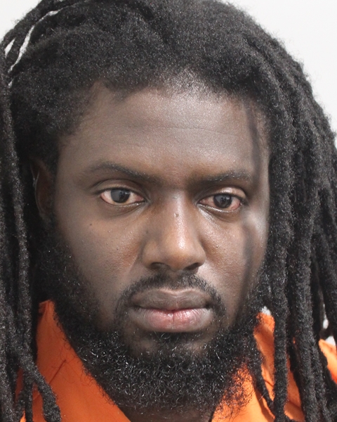 Booking photo of Jimmitry Diogene