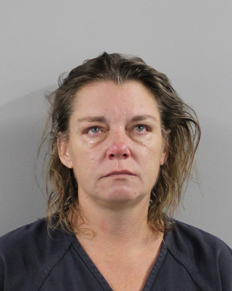 Booking photo of Lindsay Hewitt