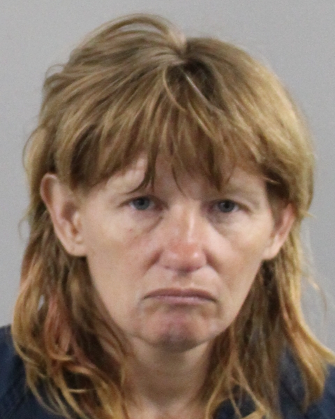 Booking photo of Christina Derosa