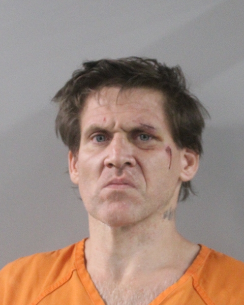 Booking photo of Kelly Crowley