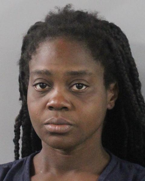 Booking photo of Jessica Porter