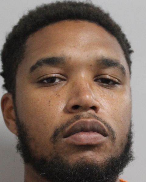 Booking photo of Brian Ross