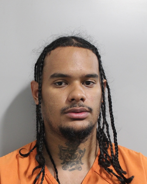 Booking photo of Jamerias Martin