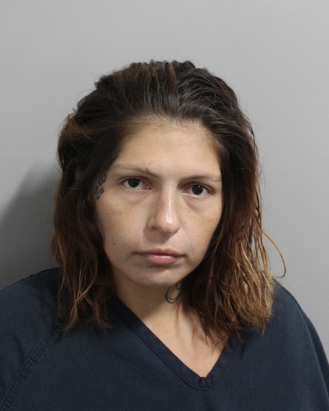 Booking photo of Juanita Johns