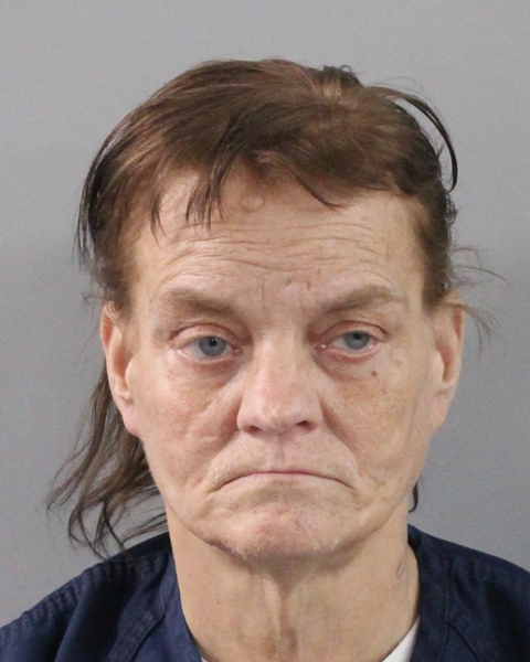 Robin Holland booking photo