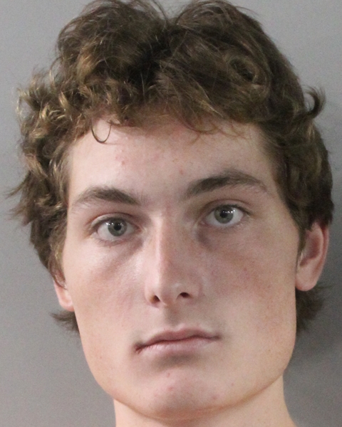 Booking photo of Ronin Williams