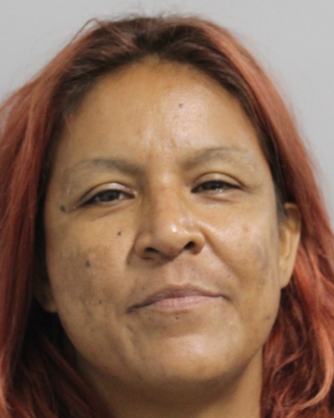 Booking photo of Yolanda Soto