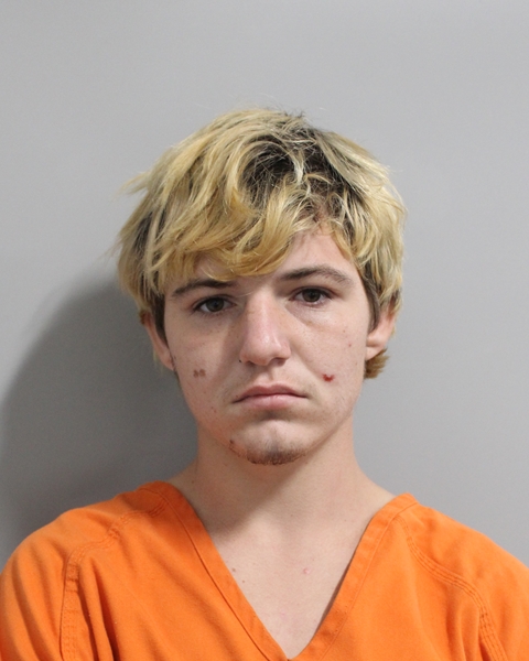 Booking photo of Devon Clyne