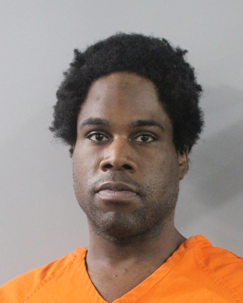 Booking photo of Dominique Richardson