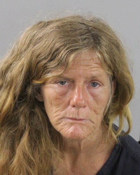 Booking photo of Ladonna Lewis