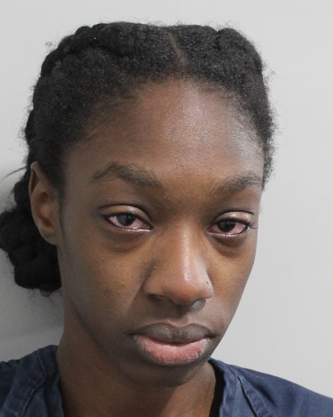Booking photo of Elaysha Rudolph