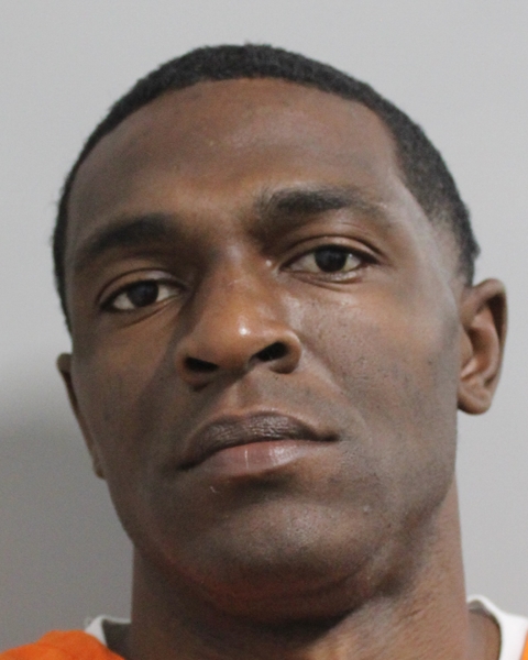 Booking photo of Julian Bird