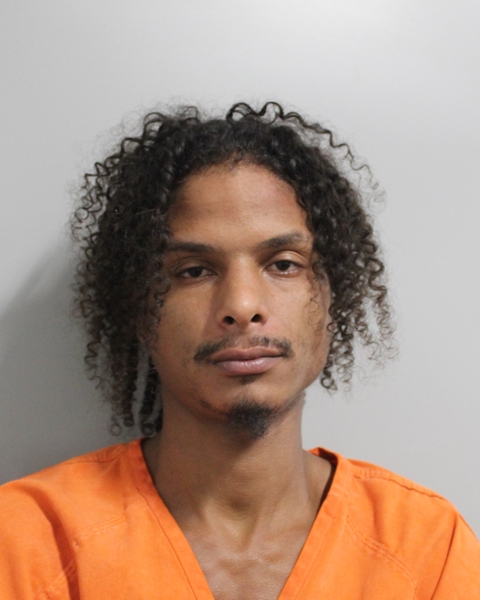 Tyre Devon booking photo