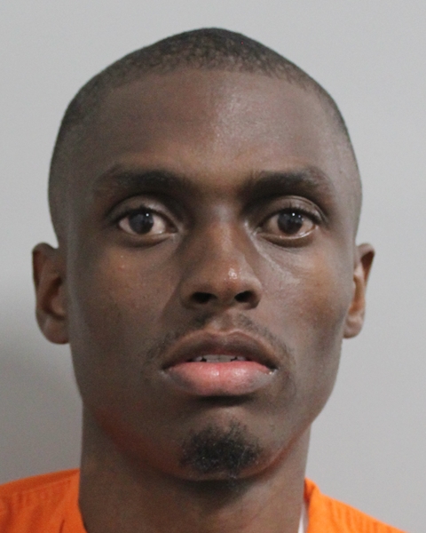 Booking photo of Kevin Mcgintis