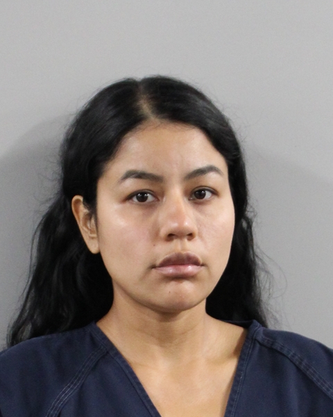 Booking photo of Alicia Leonardo