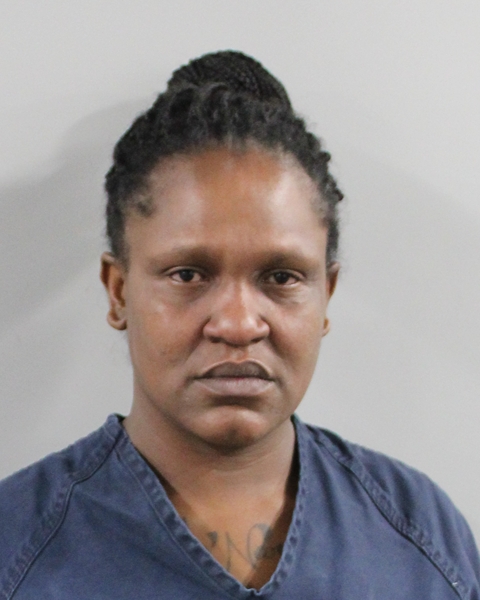 Booking photo of Bionca Capel