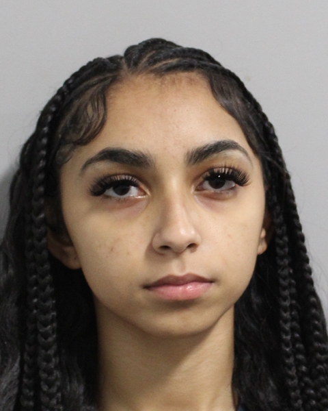 Julia Persaud booking photo