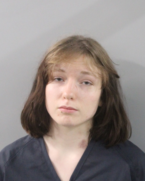 Booking photo of Jillian Joiner