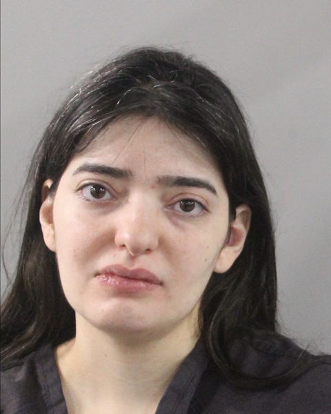 Booking photo of Ana Ferreira-do Amaral