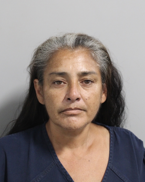 Booking photo of Christina Diaz
