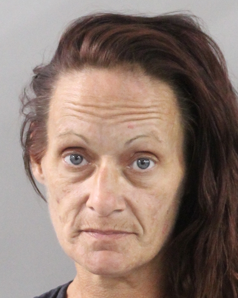 Booking photo of Lisa Howe