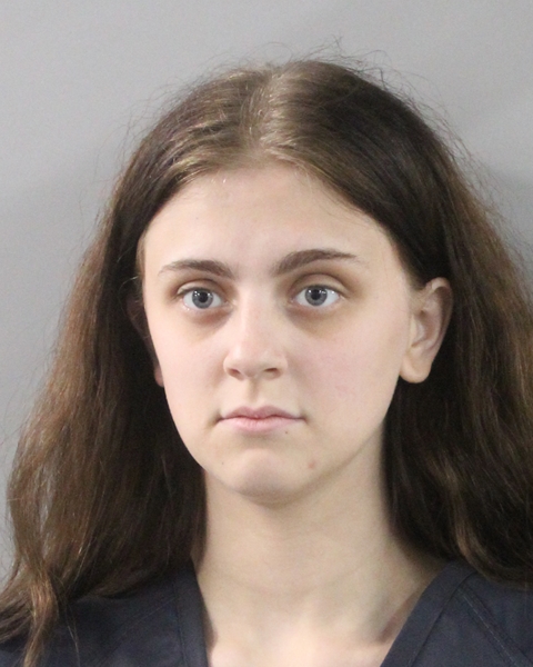 Booking photo of Delilah Hineline