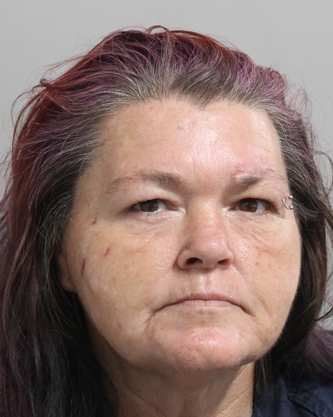 Booking photo of Krystyna Hernandez