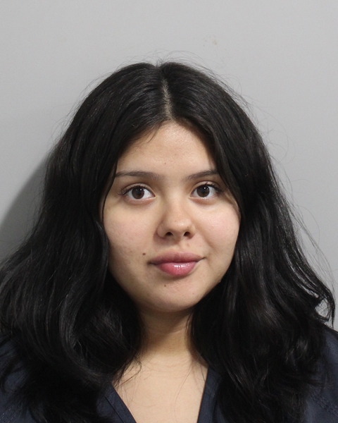 Booking photo of Renata Lara-hernandez