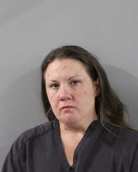 Booking photo of Robin Sears