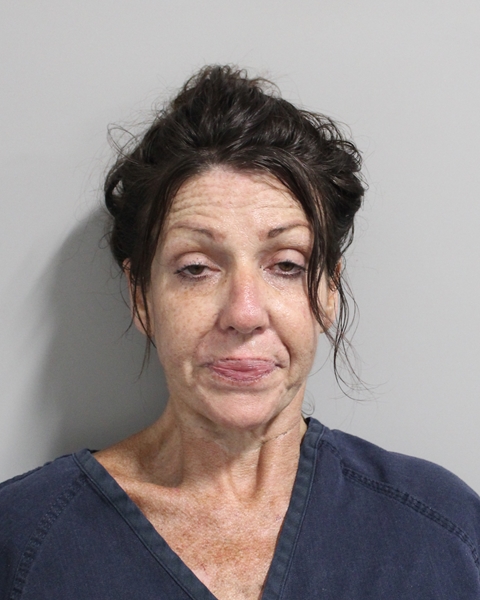 Booking photo of Misty Hamilton