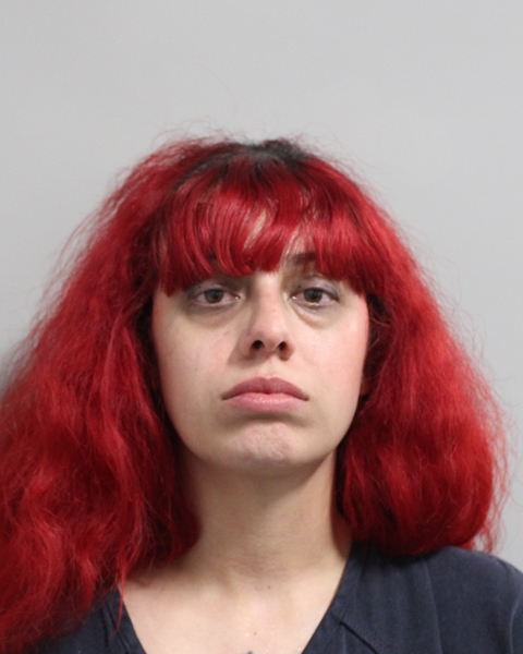 Booking photo of Paola Quiles-burgos