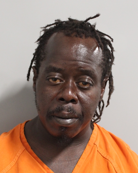 Booking photo of Jinot Manelas